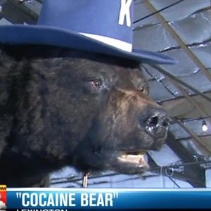 Meet your Posher, Sylvan